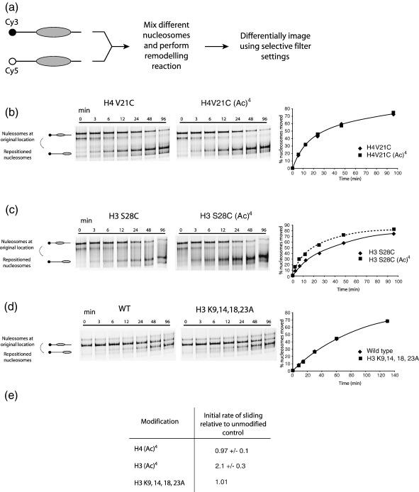 https://cdn.ncbi.nlm.nih.gov/pmc/blobs/1db7/2279226/84f8bc76bf6d/gr2.jpg
