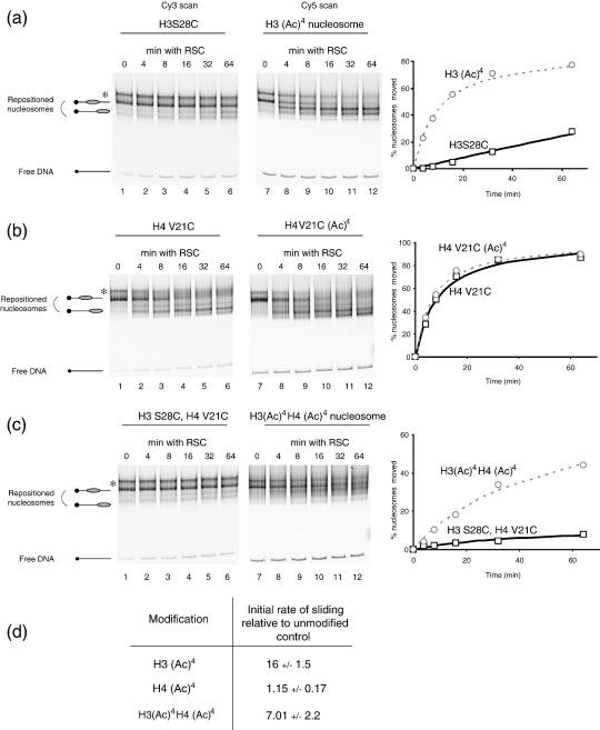 https://cdn.ncbi.nlm.nih.gov/pmc/blobs/1db7/2279226/88d32ae9cad0/gr3.jpg