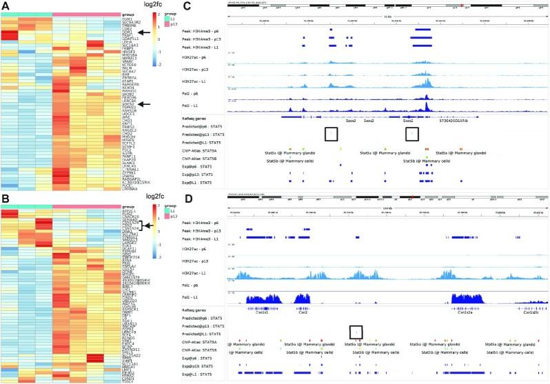 https://cdn.ncbi.nlm.nih.gov/pmc/blobs/1db8/10155229/23899434df17/giad026fig3.jpg