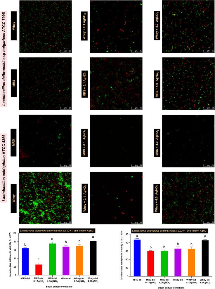 https://cdn.ncbi.nlm.nih.gov/pmc/blobs/1db9/11227706/9f36919a8550/12934_2024_2428_Fig2_HTML.jpg