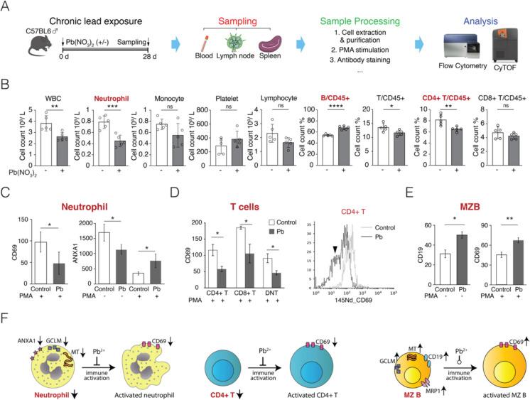 https://cdn.ncbi.nlm.nih.gov/pmc/blobs/1db9/12058832/861c21b49727/10565_2025_10034_Fig3_HTML.jpg