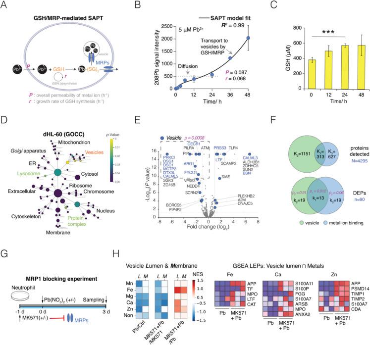 https://cdn.ncbi.nlm.nih.gov/pmc/blobs/1db9/12058832/9d28cf57fcec/10565_2025_10034_Fig6_HTML.jpg