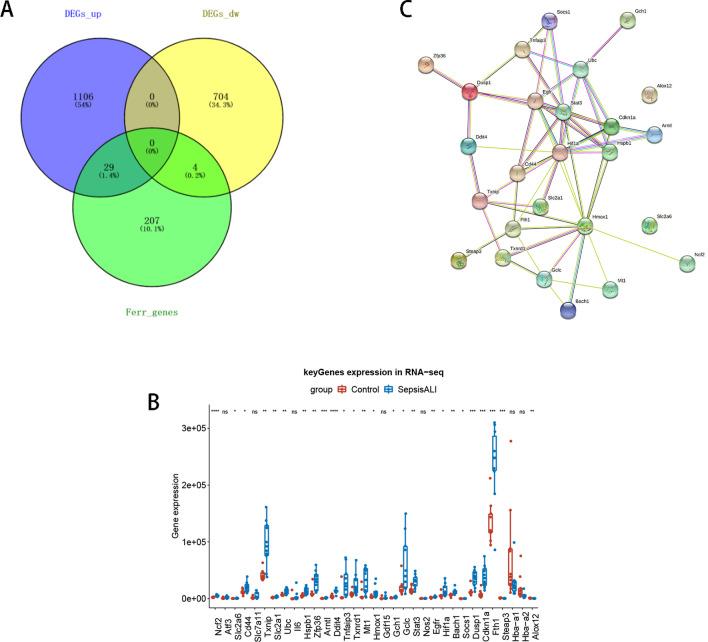 https://cdn.ncbi.nlm.nih.gov/pmc/blobs/1dba/10116744/04a64dcdabe1/12890_2023_2361_Fig3_HTML.jpg