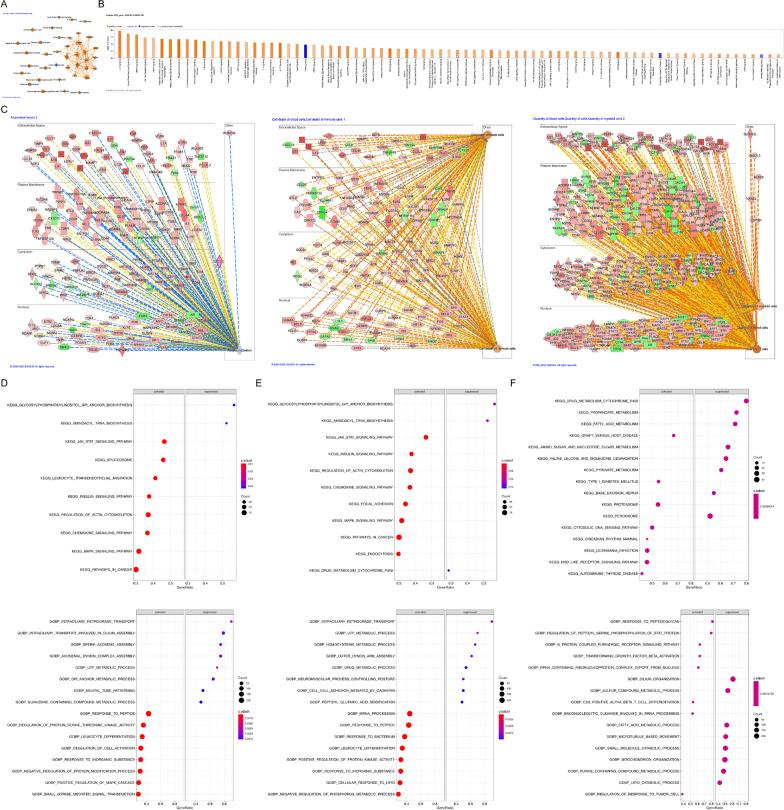 https://cdn.ncbi.nlm.nih.gov/pmc/blobs/1dba/10116744/9e1e427f7e5a/12890_2023_2361_Fig5_HTML.jpg