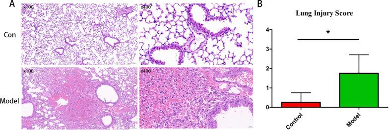 https://cdn.ncbi.nlm.nih.gov/pmc/blobs/1dba/10116744/aa1d2f5ce657/12890_2023_2361_Fig1_HTML.jpg