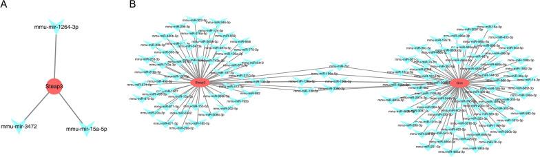 https://cdn.ncbi.nlm.nih.gov/pmc/blobs/1dba/10116744/acb1d9355884/12890_2023_2361_Fig6_HTML.jpg