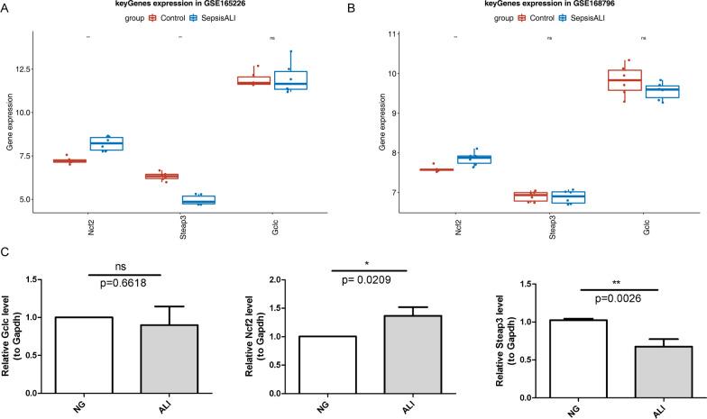 https://cdn.ncbi.nlm.nih.gov/pmc/blobs/1dba/10116744/b6e2d254f7d7/12890_2023_2361_Fig7_HTML.jpg