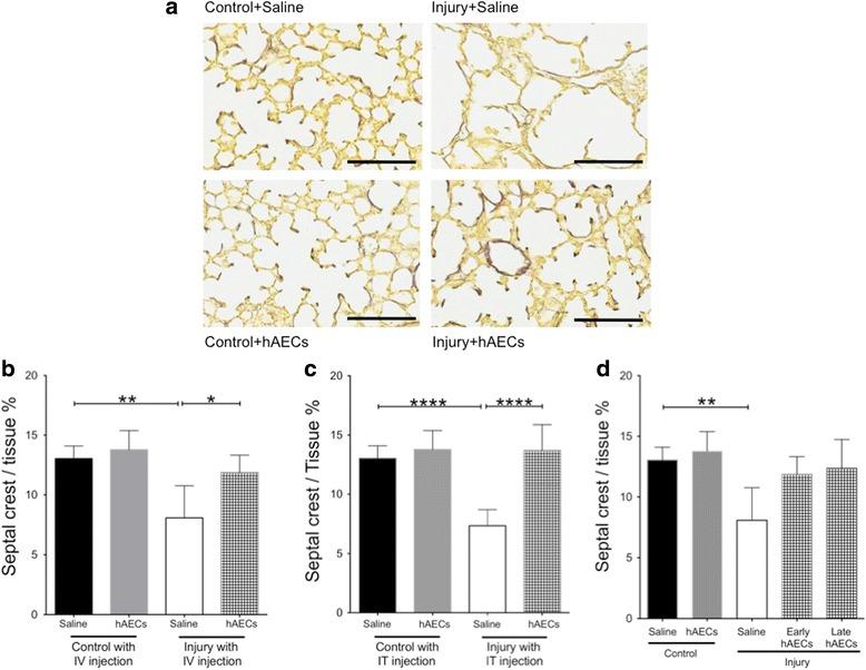 https://cdn.ncbi.nlm.nih.gov/pmc/blobs/1dbb/5681809/40171a387537/13287_2017_689_Fig3_HTML.jpg