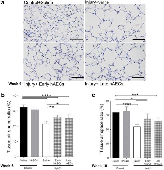 https://cdn.ncbi.nlm.nih.gov/pmc/blobs/1dbb/5681809/b09ba29ddcaf/13287_2017_689_Fig11_HTML.jpg