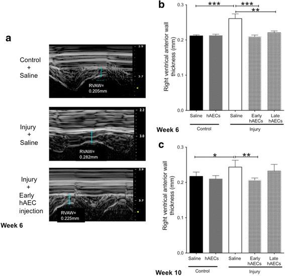 https://cdn.ncbi.nlm.nih.gov/pmc/blobs/1dbb/5681809/fb92888fd4a7/13287_2017_689_Fig14_HTML.jpg