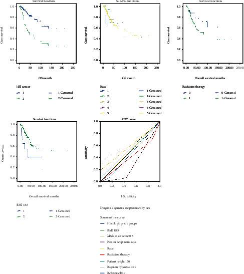 https://cdn.ncbi.nlm.nih.gov/pmc/blobs/1dbb/9200589/e43e30196cef/CMMM2022-5613350.002.jpg