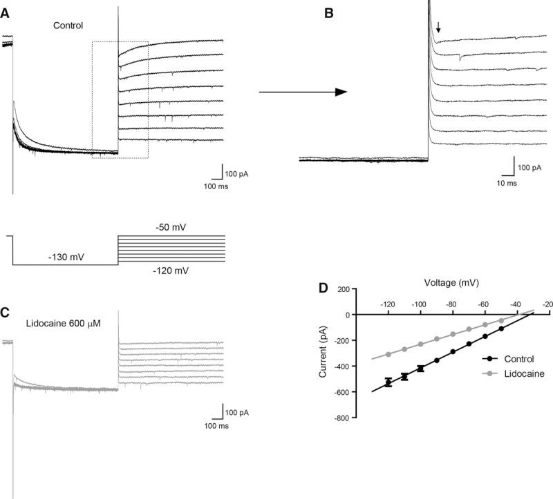 https://cdn.ncbi.nlm.nih.gov/pmc/blobs/1dbd/4791316/7705dbadc30c/ane-122-1048-g006.jpg