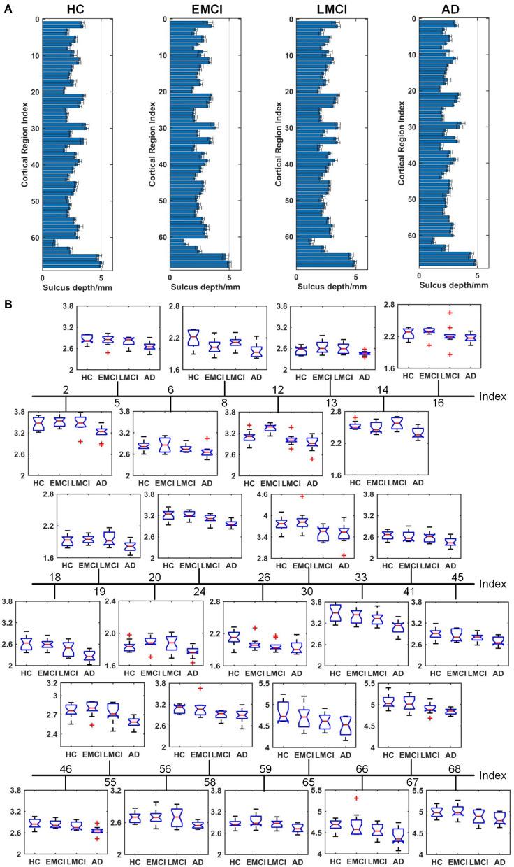 https://cdn.ncbi.nlm.nih.gov/pmc/blobs/1dbd/7886803/673f38cc0623/fnagi-13-593898-g0006.jpg