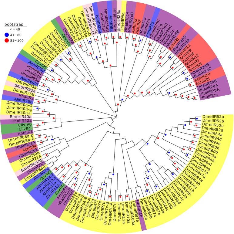 https://cdn.ncbi.nlm.nih.gov/pmc/blobs/1dbe/7677363/287d9fb668ab/fphys-11-588291-g008.jpg