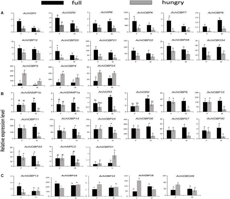 https://cdn.ncbi.nlm.nih.gov/pmc/blobs/1dbe/7677363/860ae4934ab2/fphys-11-588291-g011.jpg