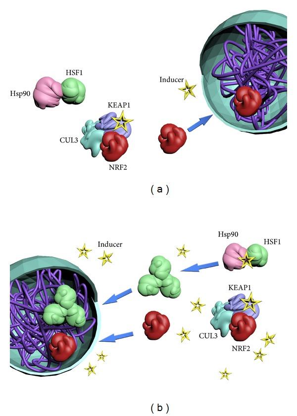 https://cdn.ncbi.nlm.nih.gov/pmc/blobs/1dbf/3820647/5b29f0d395f4/SCIENTIFICA2012-606104.001.jpg