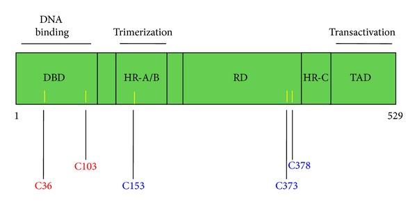 https://cdn.ncbi.nlm.nih.gov/pmc/blobs/1dbf/3820647/a3c985b98ad2/SCIENTIFICA2012-606104.003.jpg
