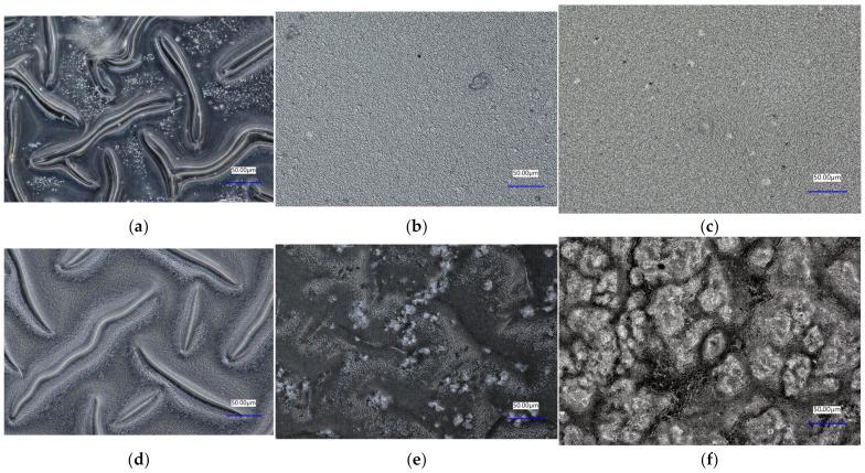 https://cdn.ncbi.nlm.nih.gov/pmc/blobs/1dc3/10780115/50de50d458ed/materials-17-00058-g006.jpg