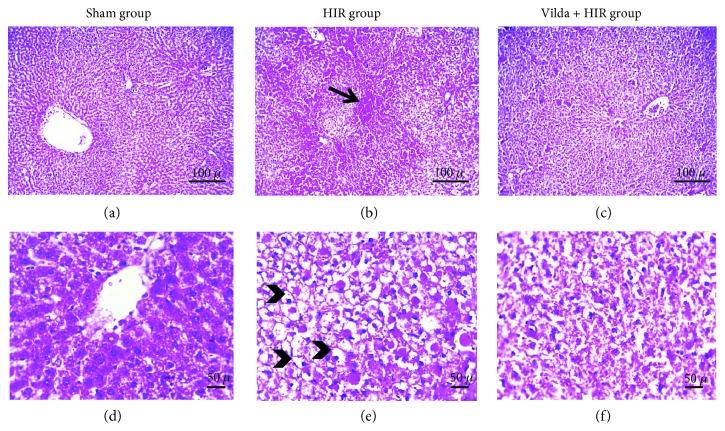 https://cdn.ncbi.nlm.nih.gov/pmc/blobs/1dc4/6204182/c4154387cfd7/OMCL2018-3509091.005.jpg