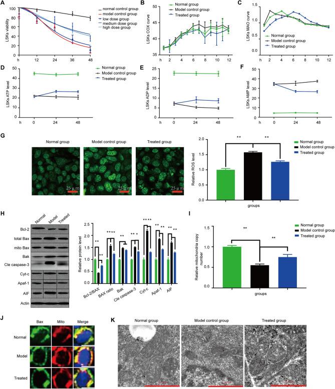 https://cdn.ncbi.nlm.nih.gov/pmc/blobs/1dc4/8211841/5c80117435eb/41598_2021_91471_Fig4_HTML.jpg