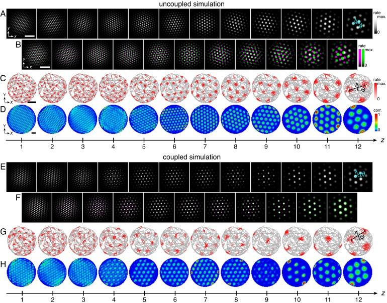 https://cdn.ncbi.nlm.nih.gov/pmc/blobs/1dc5/6776444/d88457a0b921/elife-46687-fig2.jpg