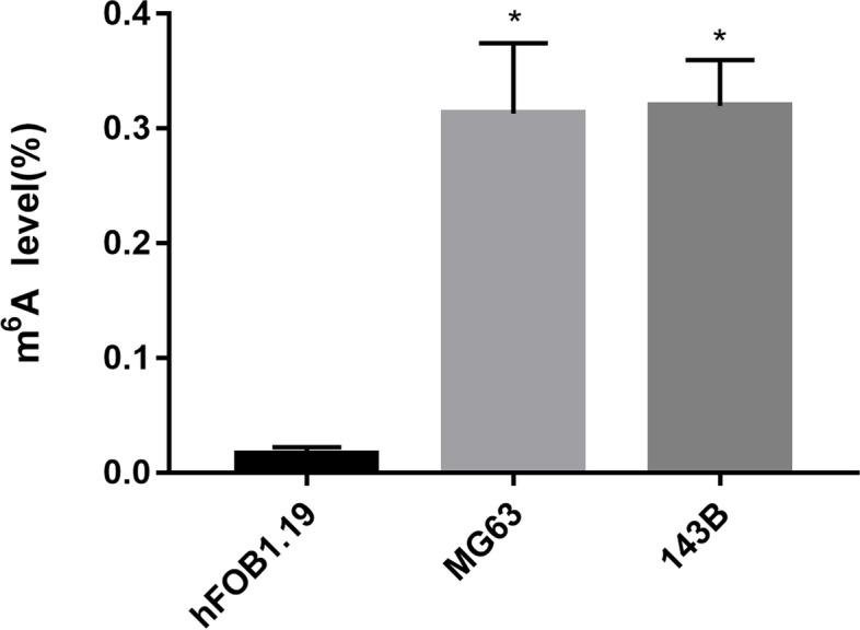 https://cdn.ncbi.nlm.nih.gov/pmc/blobs/1dc5/8638368/d9fc59cffdf3/12885_2021_9011_Fig10_HTML.jpg