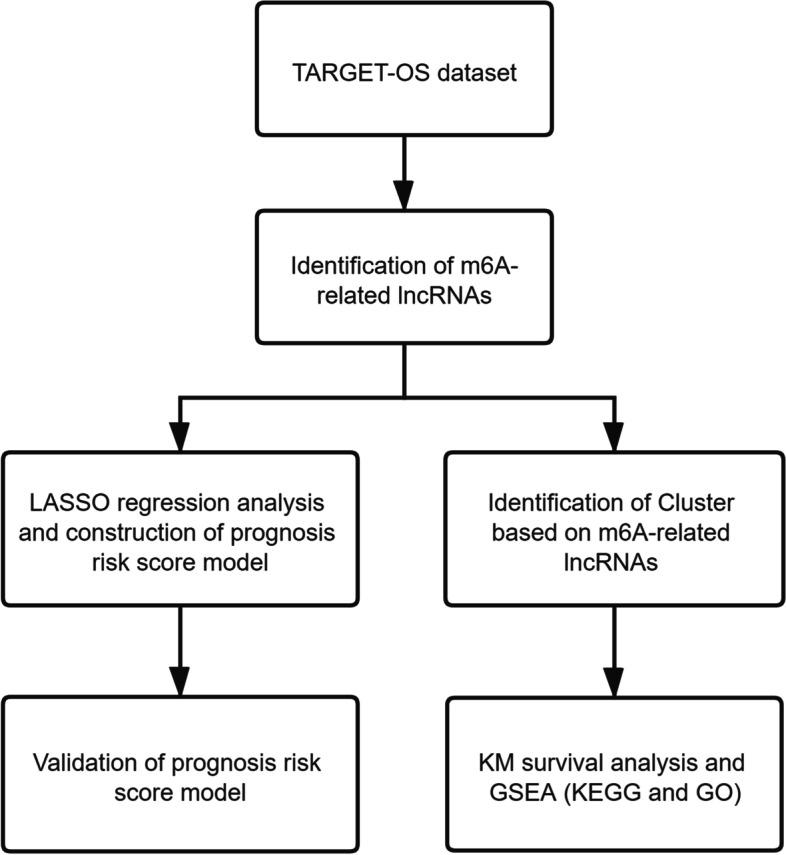 https://cdn.ncbi.nlm.nih.gov/pmc/blobs/1dc5/8638368/e7f973e6a58e/12885_2021_9011_Fig1_HTML.jpg