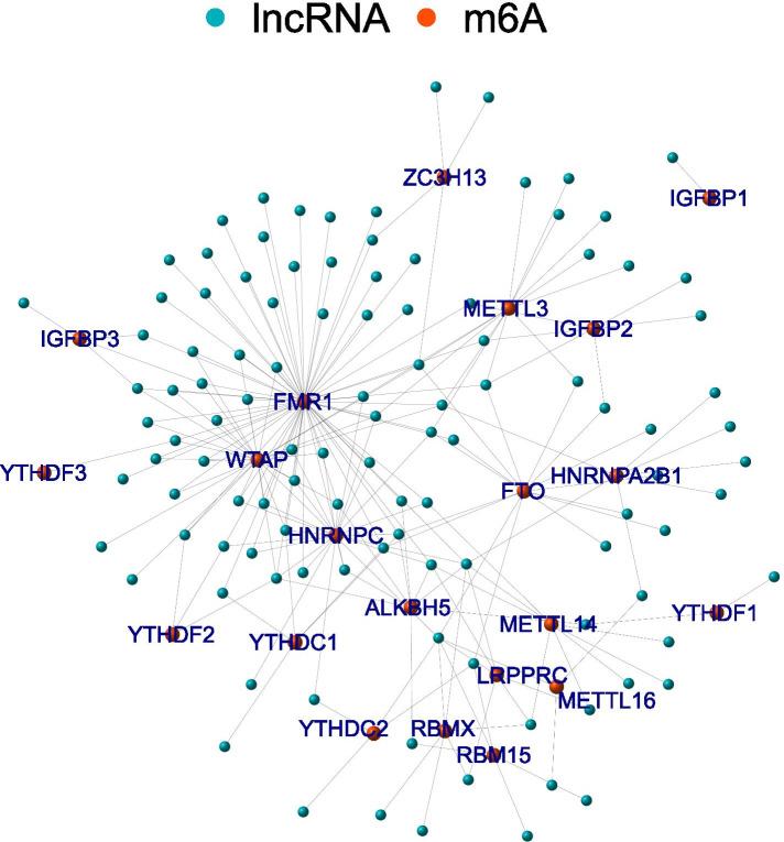 https://cdn.ncbi.nlm.nih.gov/pmc/blobs/1dc5/8638368/f0747c284210/12885_2021_9011_Fig2_HTML.jpg