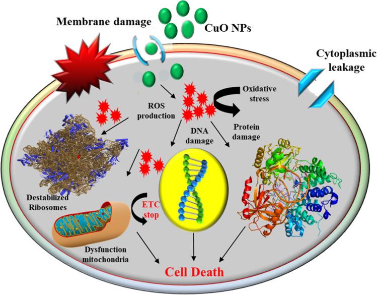 https://cdn.ncbi.nlm.nih.gov/pmc/blobs/1dc5/9838533/c1ae3db65cc8/253_2023_12364_Fig2_HTML.jpg
