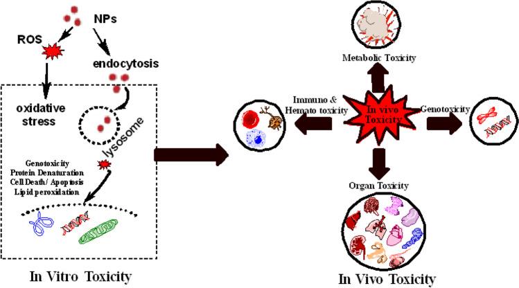 https://cdn.ncbi.nlm.nih.gov/pmc/blobs/1dc5/9838533/db2e55005e7a/253_2023_12364_Fig4_HTML.jpg
