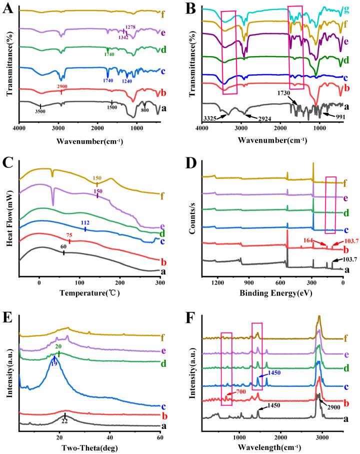https://cdn.ncbi.nlm.nih.gov/pmc/blobs/1dca/11122197/4af958f1b3ee/ijms-25-05553-g003.jpg