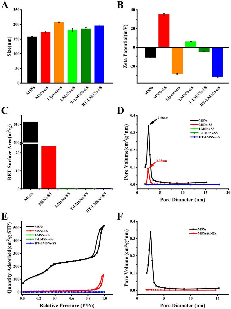 https://cdn.ncbi.nlm.nih.gov/pmc/blobs/1dca/11122197/4f24146808de/ijms-25-05553-g002.jpg
