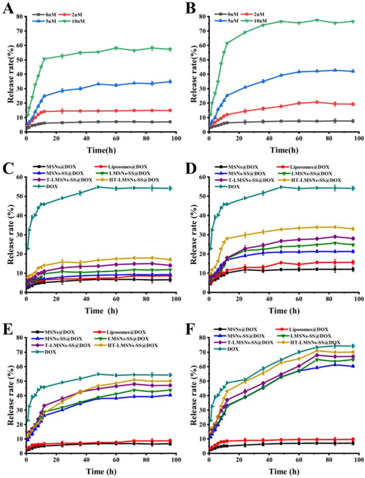 https://cdn.ncbi.nlm.nih.gov/pmc/blobs/1dca/11122197/9094f8e5a481/ijms-25-05553-g004.jpg
