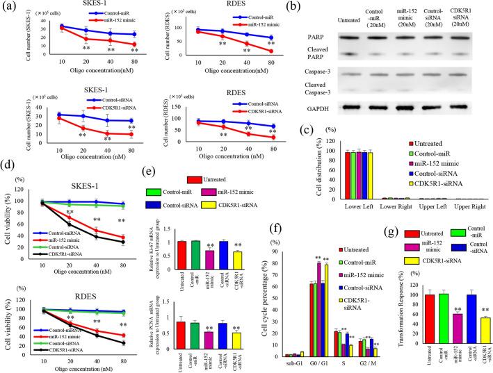 https://cdn.ncbi.nlm.nih.gov/pmc/blobs/1dce/10613623/2c2f24a23cea/41598_2023_45833_Fig3_HTML.jpg