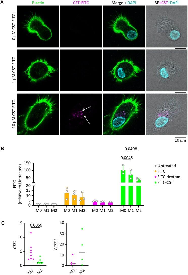 https://cdn.ncbi.nlm.nih.gov/pmc/blobs/1dce/12127132/536558b4c6d2/bvaf090f4.jpg