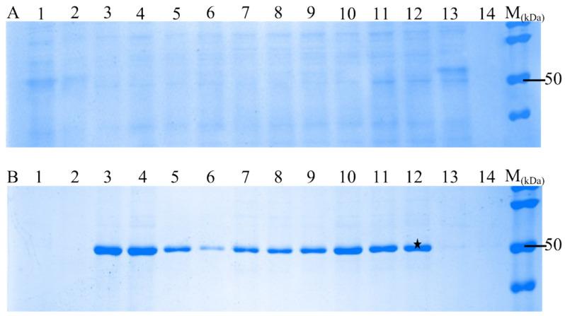 https://cdn.ncbi.nlm.nih.gov/pmc/blobs/1dce/12300552/6f28c2b0a565/vaccines-13-00744-g002.jpg