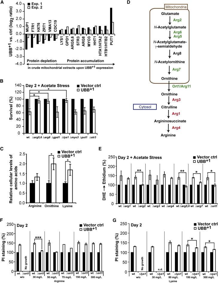 https://cdn.ncbi.nlm.nih.gov/pmc/blobs/1dce/4407011/02f7647bbc78/gr5.jpg