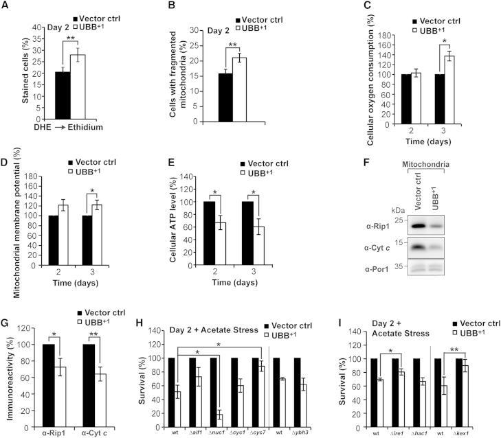 https://cdn.ncbi.nlm.nih.gov/pmc/blobs/1dce/4407011/994644c0e0a9/gr4.jpg