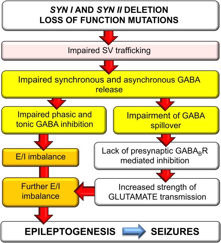 https://cdn.ncbi.nlm.nih.gov/pmc/blobs/1dcf/5685732/d7497a57b56f/oncotarget-08-90061-g007.jpg