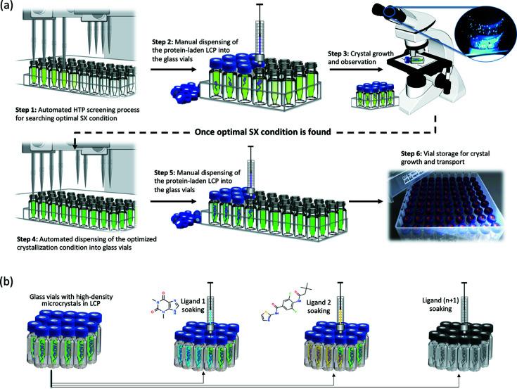 https://cdn.ncbi.nlm.nih.gov/pmc/blobs/1dd0/10543674/eae393c38d98/j-56-01361-fig1.jpg