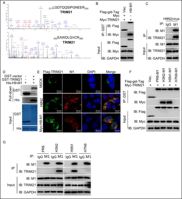 https://cdn.ncbi.nlm.nih.gov/pmc/blobs/1dd1/10325077/2cb0a52c323c/ppat.1011472.g001.jpg