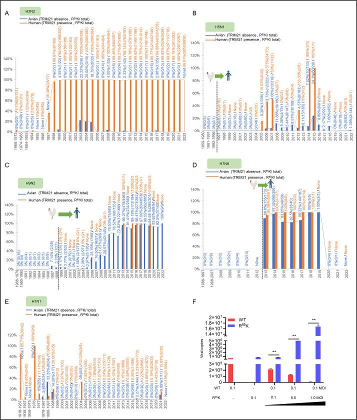 https://cdn.ncbi.nlm.nih.gov/pmc/blobs/1dd1/10325077/5fad7877c41d/ppat.1011472.g007.jpg