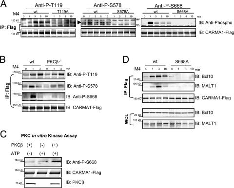 https://cdn.ncbi.nlm.nih.gov/pmc/blobs/1dd3/2150971/cd8373c47a9b/jem2043285f02.jpg