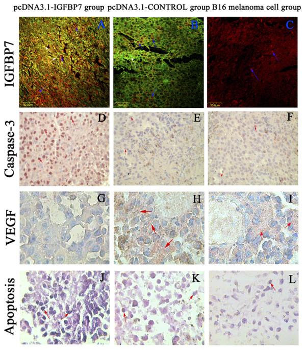 https://cdn.ncbi.nlm.nih.gov/pmc/blobs/1dd3/2844372/43eb57ce2891/1756-9966-29-13-1.jpg