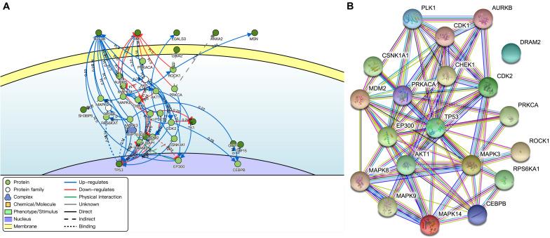 https://cdn.ncbi.nlm.nih.gov/pmc/blobs/1dd3/7531581/29ab362bf791/fgene-11-566579-g004.jpg