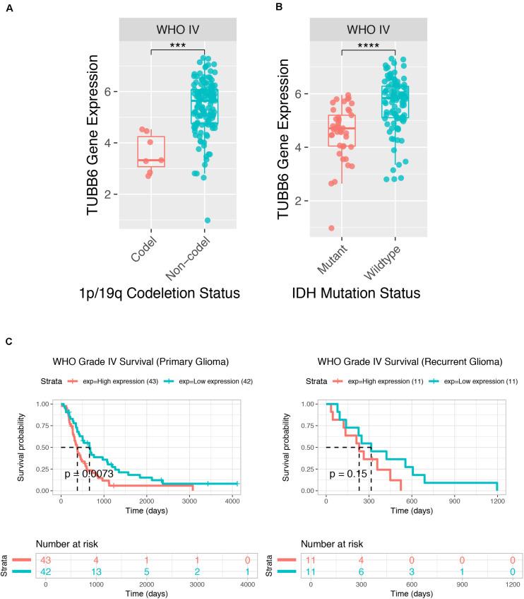 https://cdn.ncbi.nlm.nih.gov/pmc/blobs/1dd3/7531581/324ca60ba46d/fgene-11-566579-g007.jpg