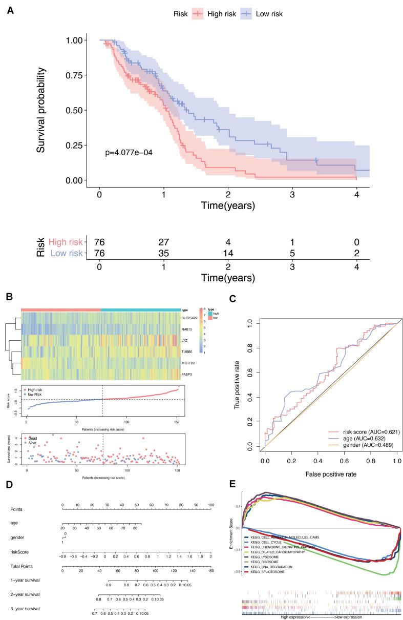 https://cdn.ncbi.nlm.nih.gov/pmc/blobs/1dd3/7531581/5e8439186bf2/fgene-11-566579-g005.jpg
