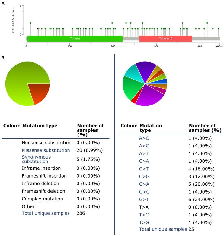 https://cdn.ncbi.nlm.nih.gov/pmc/blobs/1dd3/7531581/c4b2c1fd765e/fgene-11-566579-g008.jpg