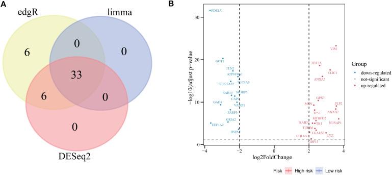 https://cdn.ncbi.nlm.nih.gov/pmc/blobs/1dd3/7531581/cb60800ec816/fgene-11-566579-g002.jpg