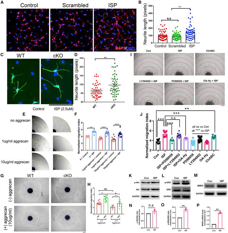https://cdn.ncbi.nlm.nih.gov/pmc/blobs/1dd5/9677607/0e0c4c8d022c/nihms-1829254-f0003.jpg